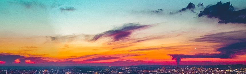 丽江茶虫网_丽江品茶